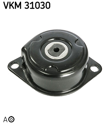 VKM 31030_2