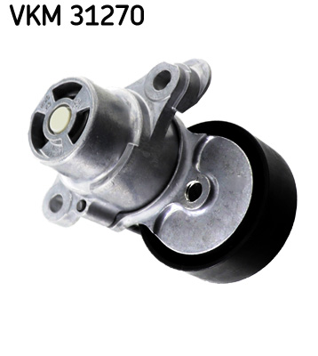 VKM 31270_2