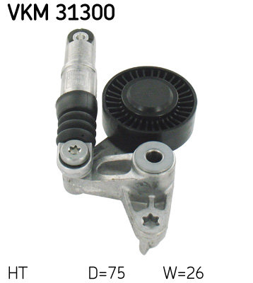 VKM 31300