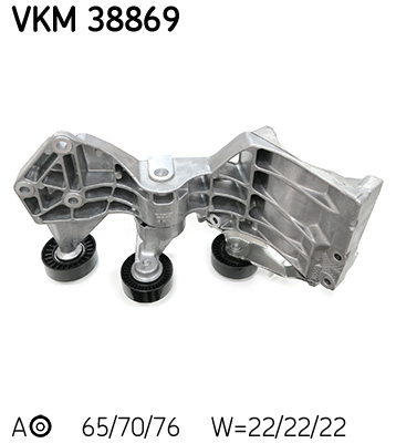 VKM 38869_2
