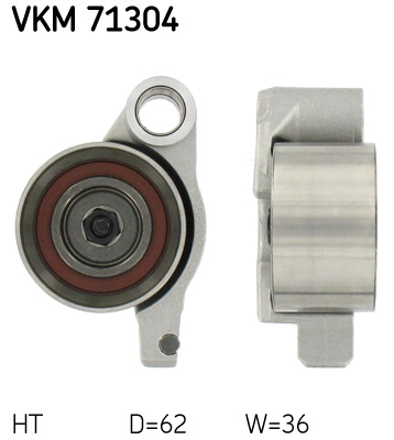 VKM 71304