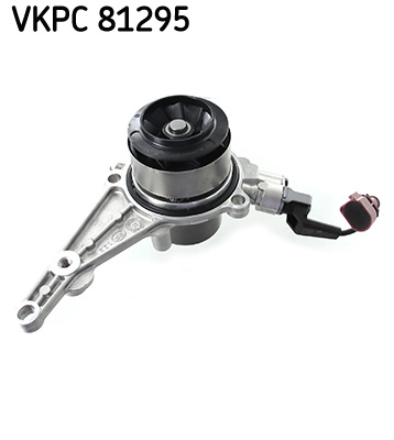 VKPC 81295_2