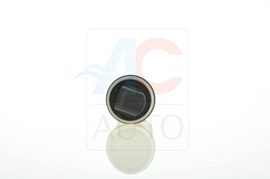 2zx09_4