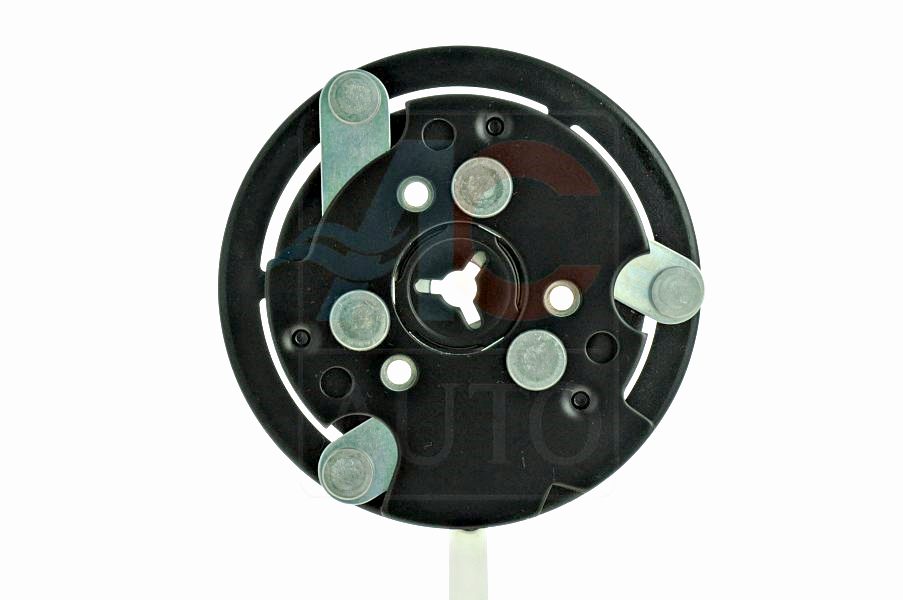 5sd33_2