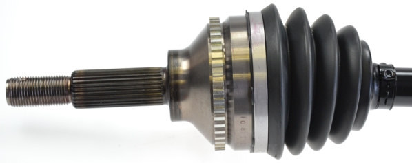25359_305582B