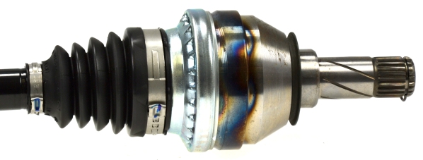 25595_305788C