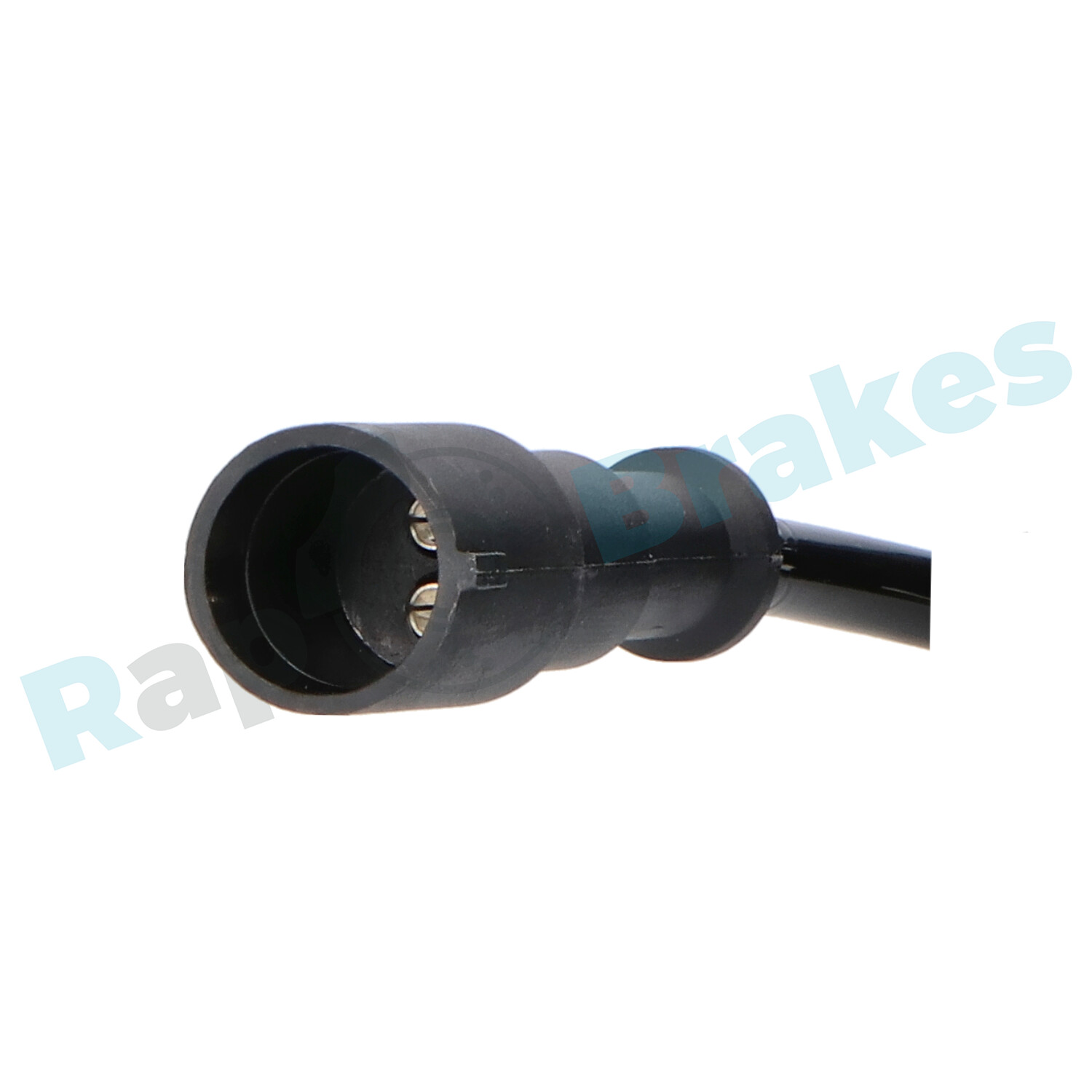 r-a0121_3
