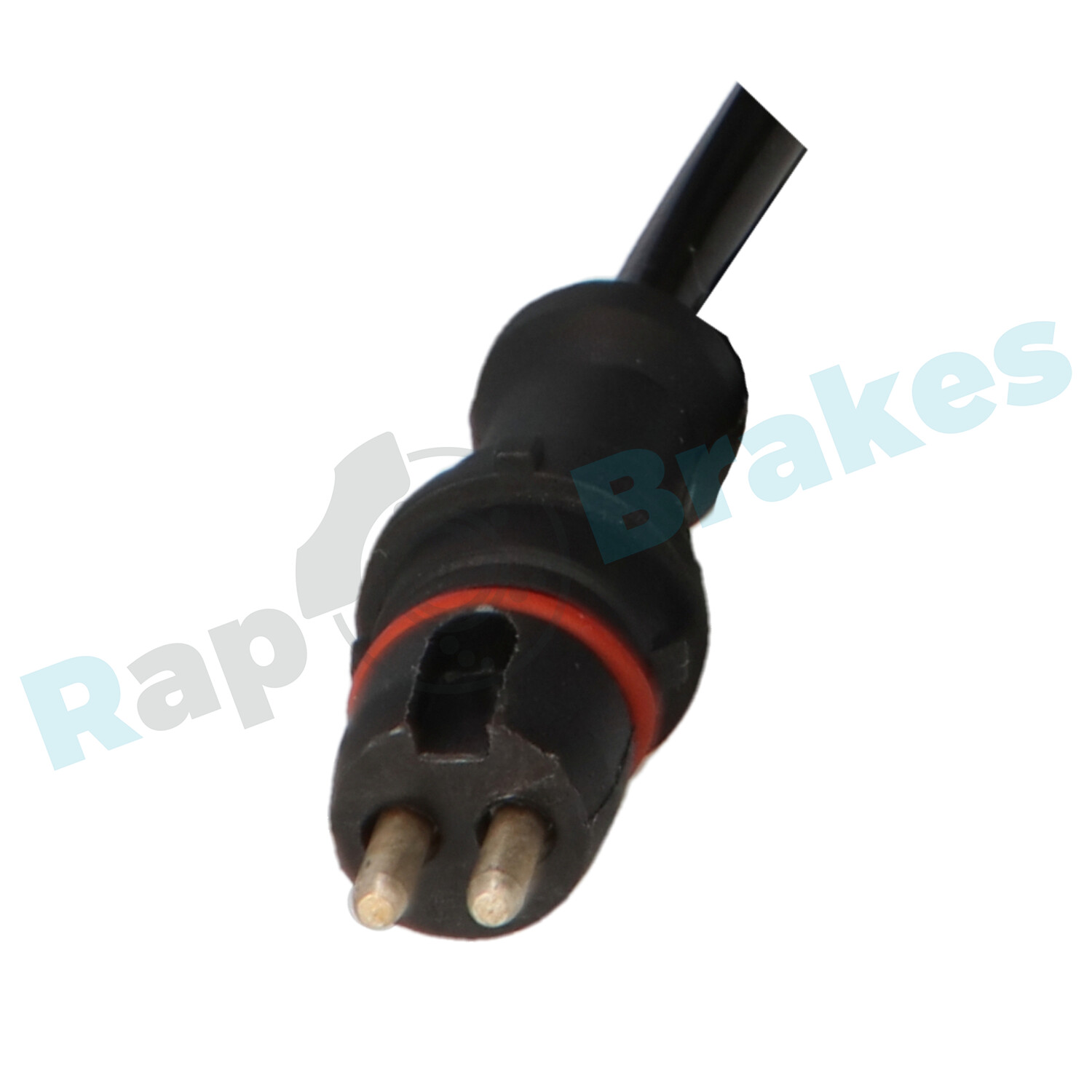r-a0195_2