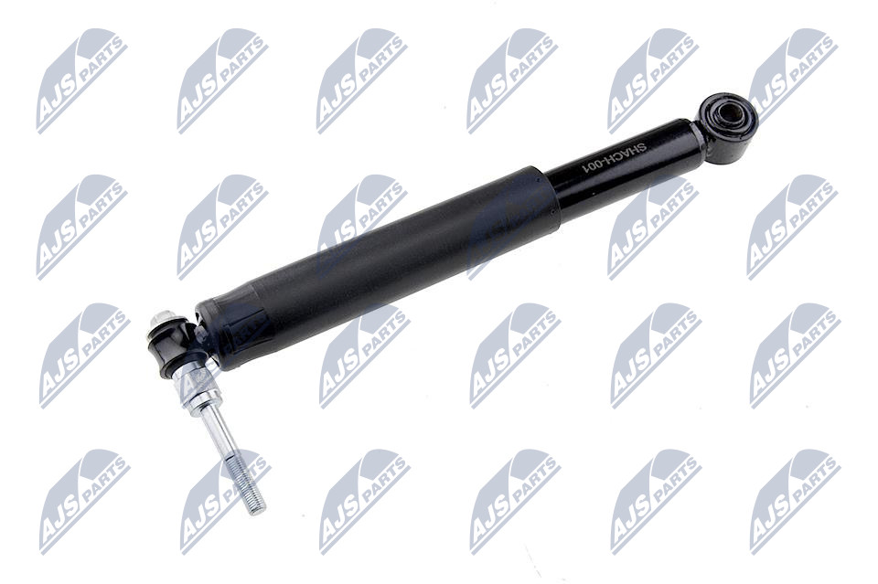 ach-001_2-wm