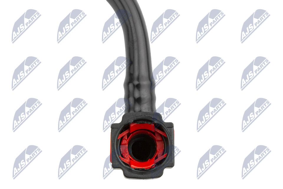 bpp-ct-011_3-wm
