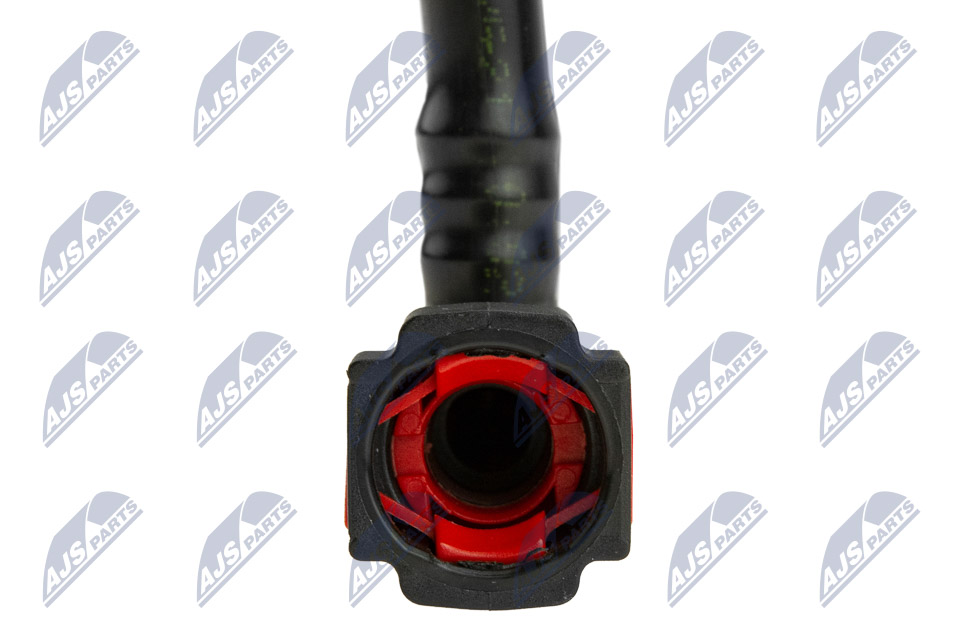 bpp-ct-011_4-wm