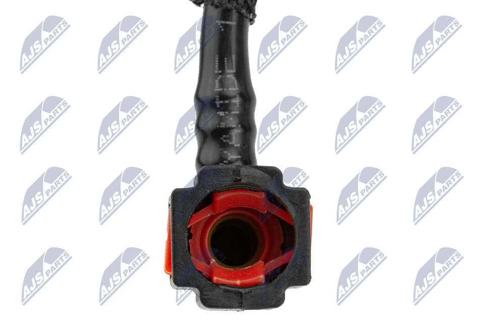 bpp-ct-011_5-wm