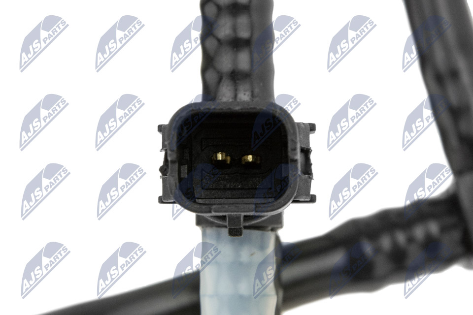 bpp-ct-011_6-wm
