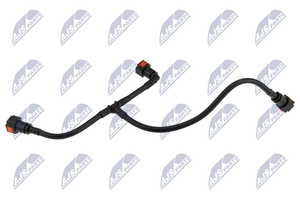 bpp-ct-019_2-wm