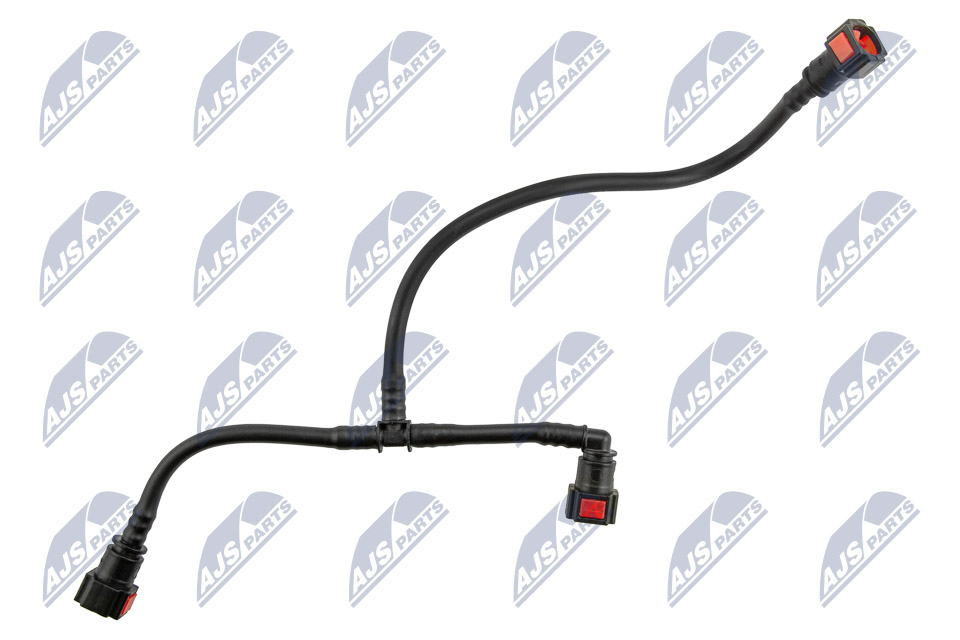 bpp-ct-019_3-wm
