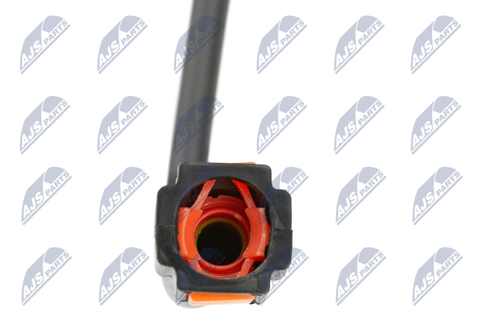 bpp-ct-019_4-wm