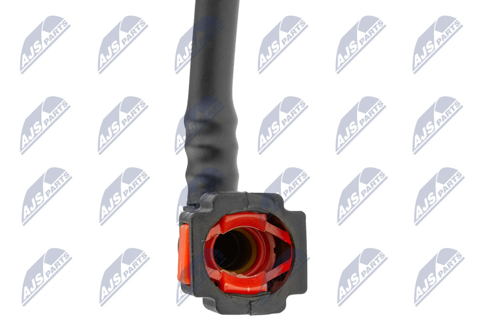bpp-ct-019_5-wm