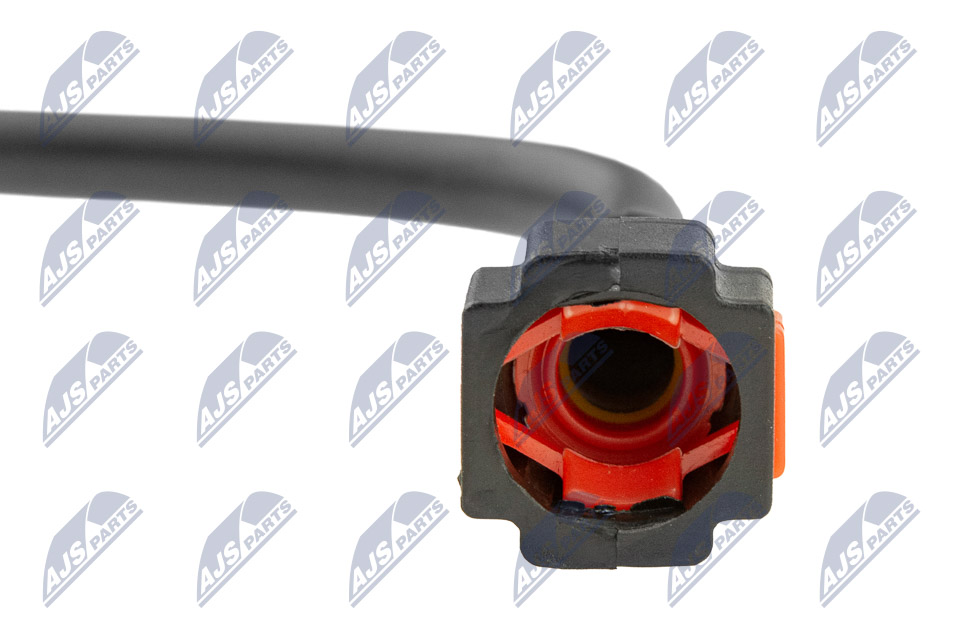 bpp-ct-019_6-wm