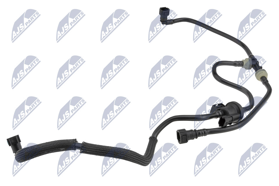 bpp-fr-005_1-wm
