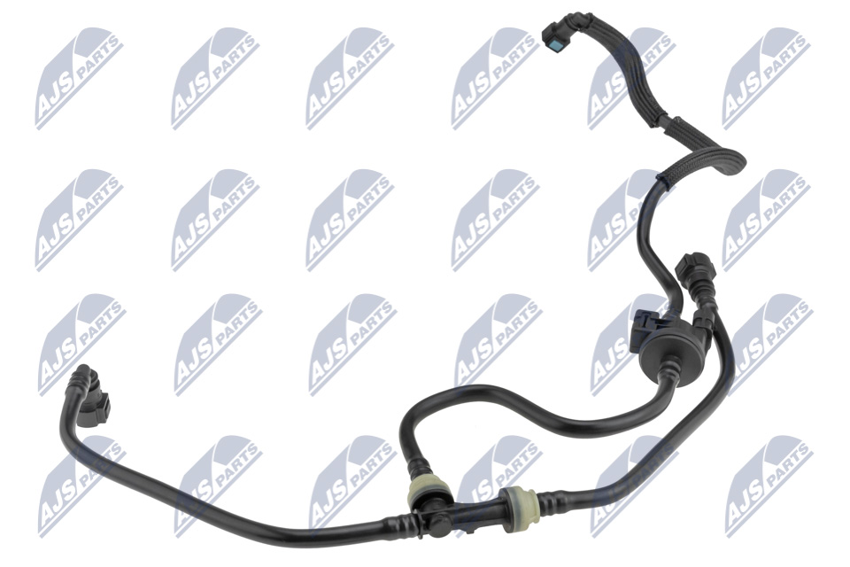 bpp-fr-005_2-wm
