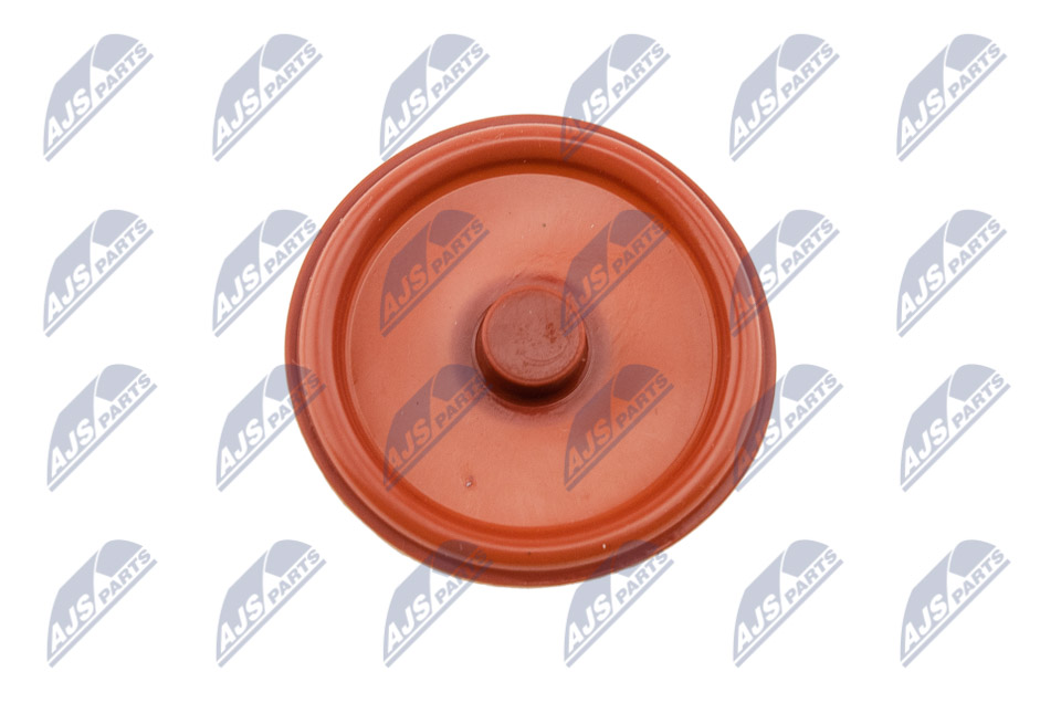 bpz-pl-005_1-wm