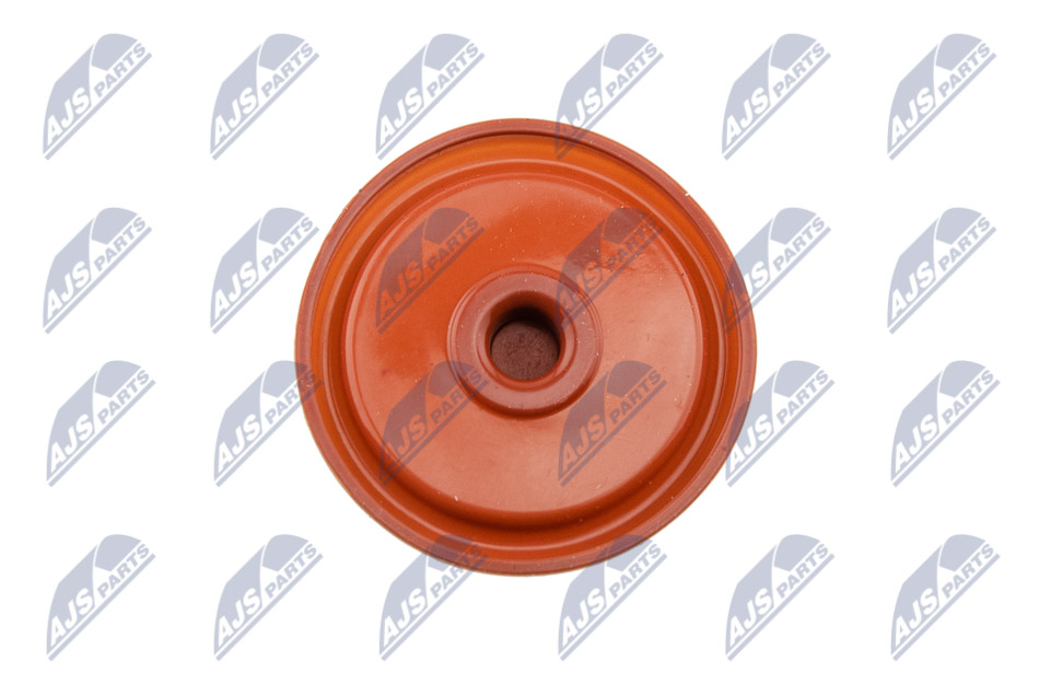 bpz-pl-005_2-wm