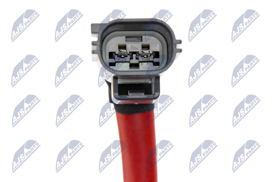 bwp-fr-002_3-wm