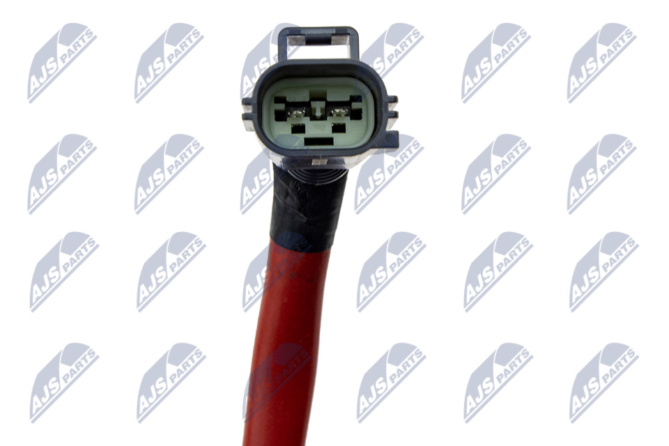 bwp-fr-010_3-wm
