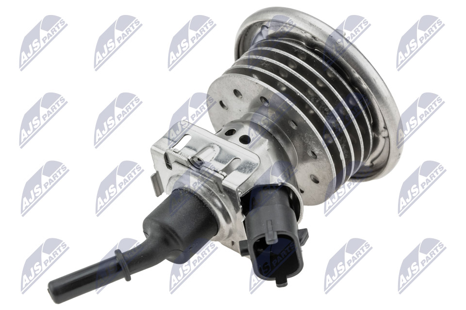 bwp-lr-001_1-wm