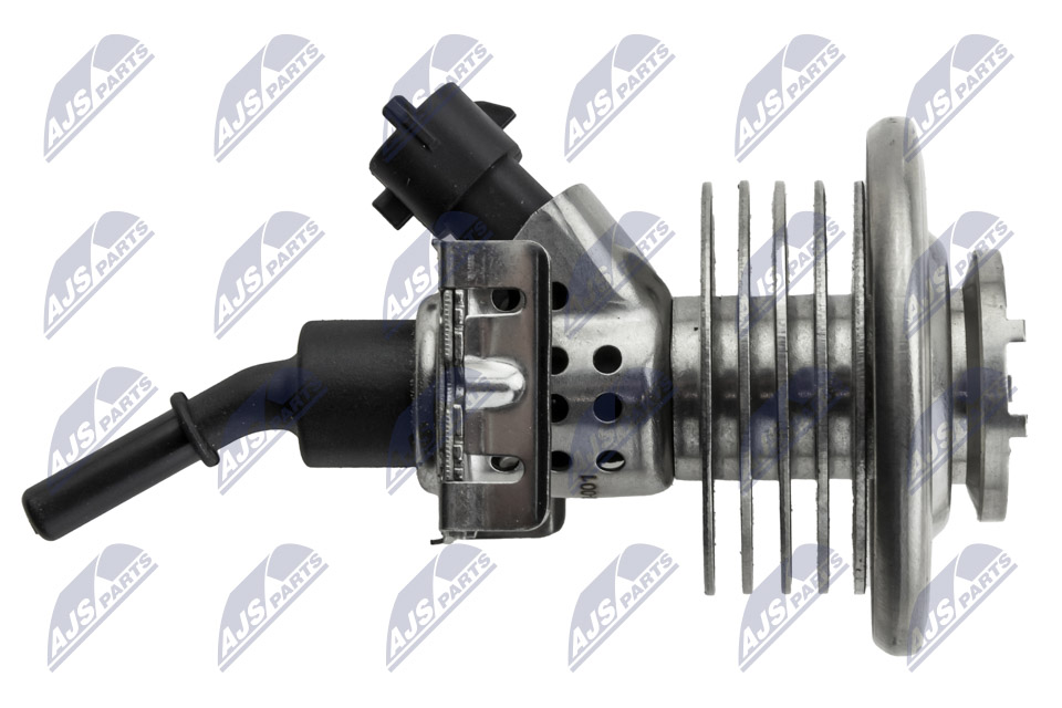 bwp-lr-001_3-wm