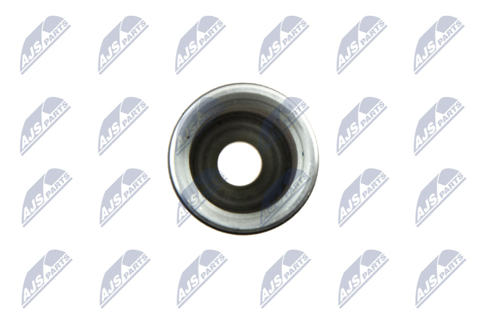 bwp-pl-000_4-wm