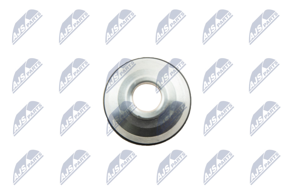 bwp-pl-000_5-wm