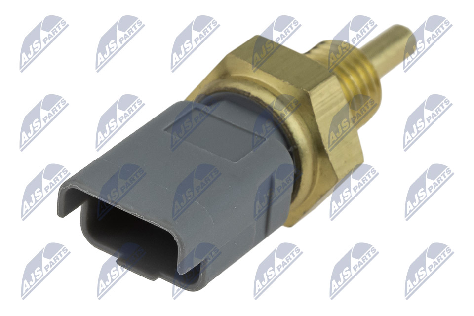 ect-ct-002_2-wm