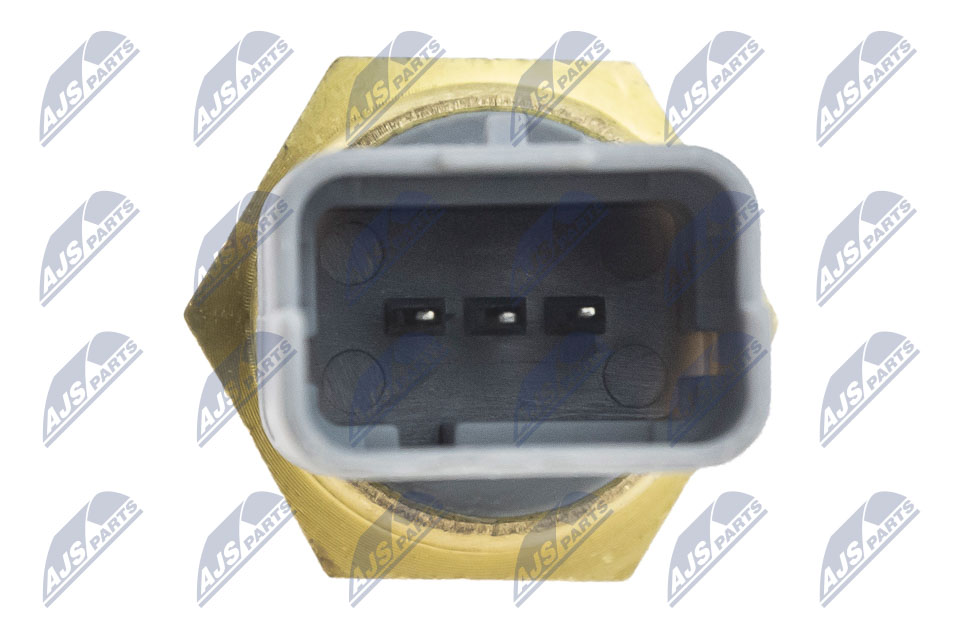 ect-ct-002_4-wm