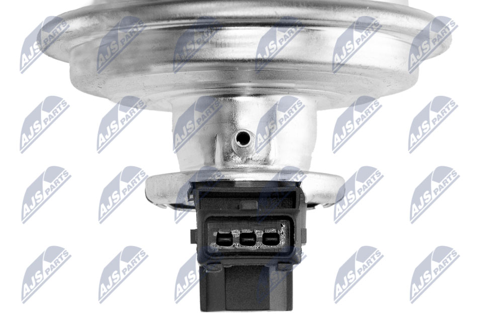 egr-bm-011a_10-wm