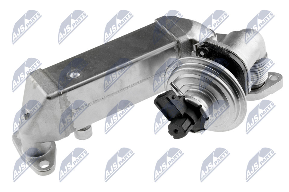 egr-bm-011a_2-wm
