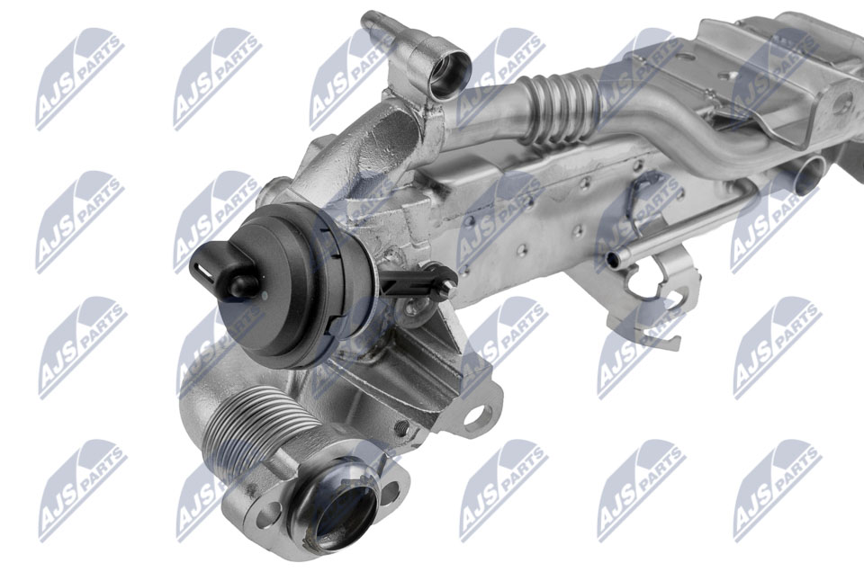 egr-bm-014a_5-wm