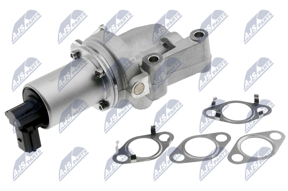 egr-ka-302_1-wm