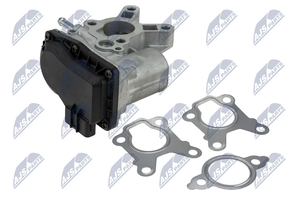egr-ns-007_2-wm