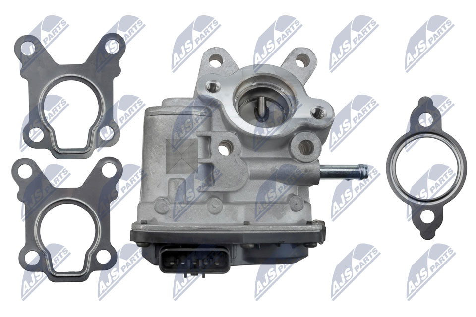 egr-ns-007_3-wm
