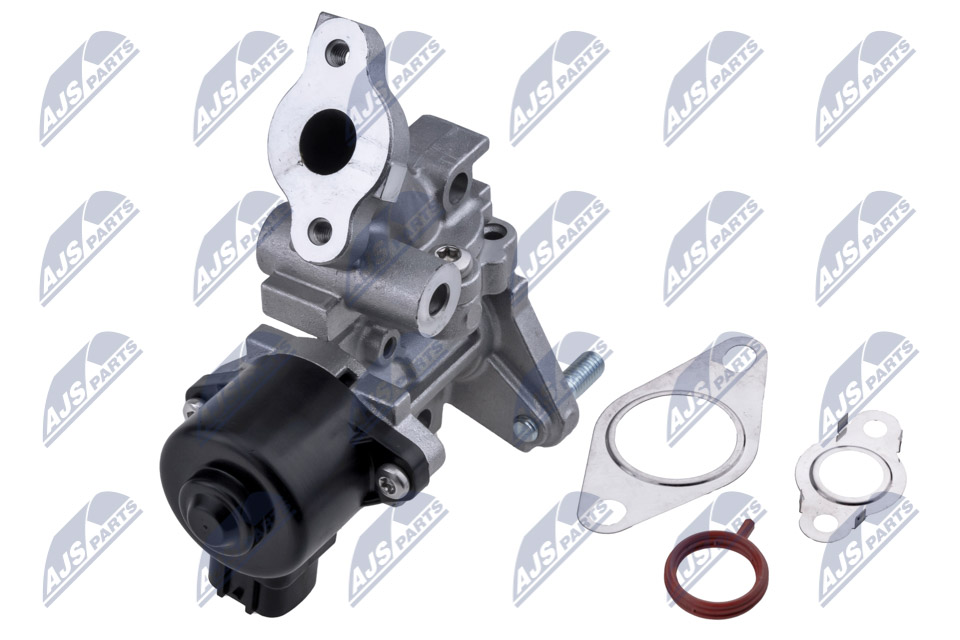 egr-ty-017_2-wm