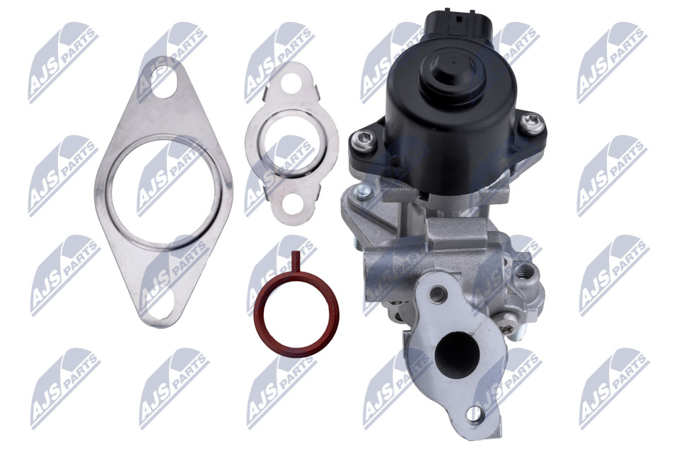 egr-ty-017_4-wm