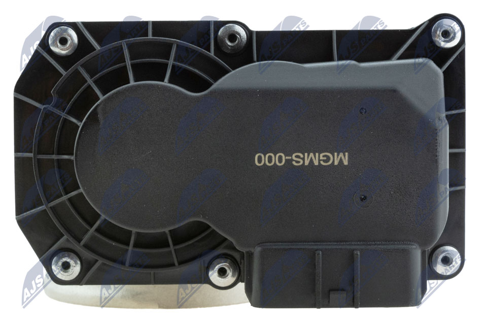 etb-ms-000_6-wm