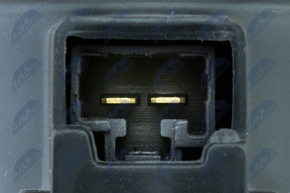 ewn-mz-000_6-wm
