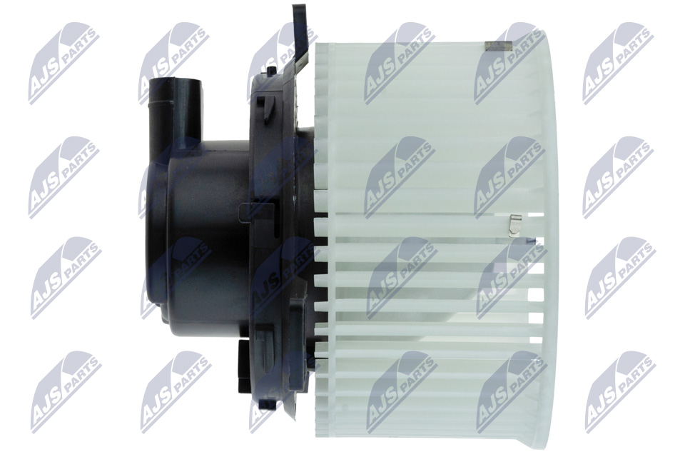 ewn-mz-006_3-wm