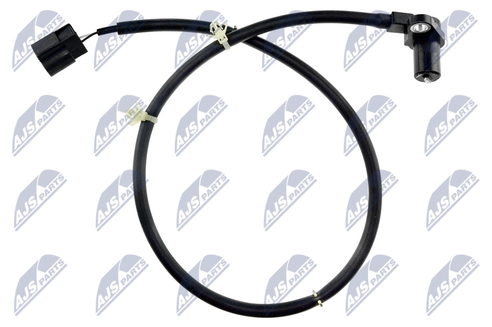 hca-ms-018_1-wm