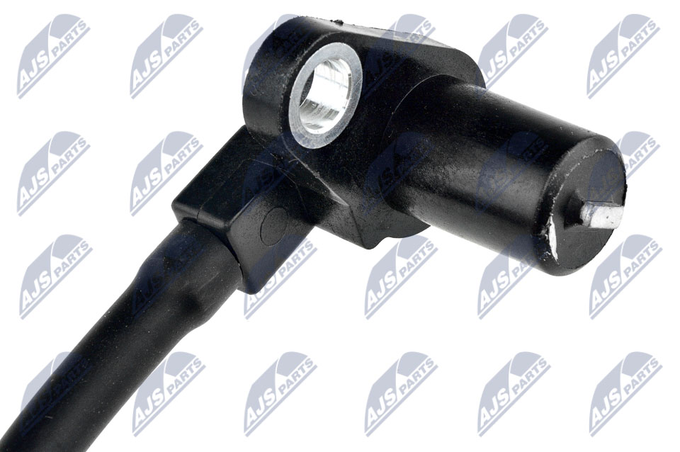 hca-ms-018_2-wm