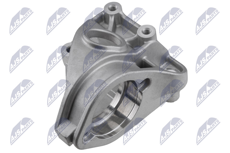 nlp-ct-001_1-wm