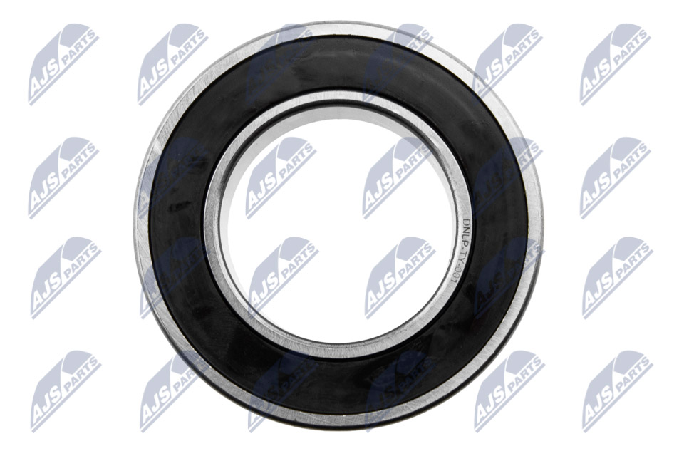 nlp-ty-001_2-wm