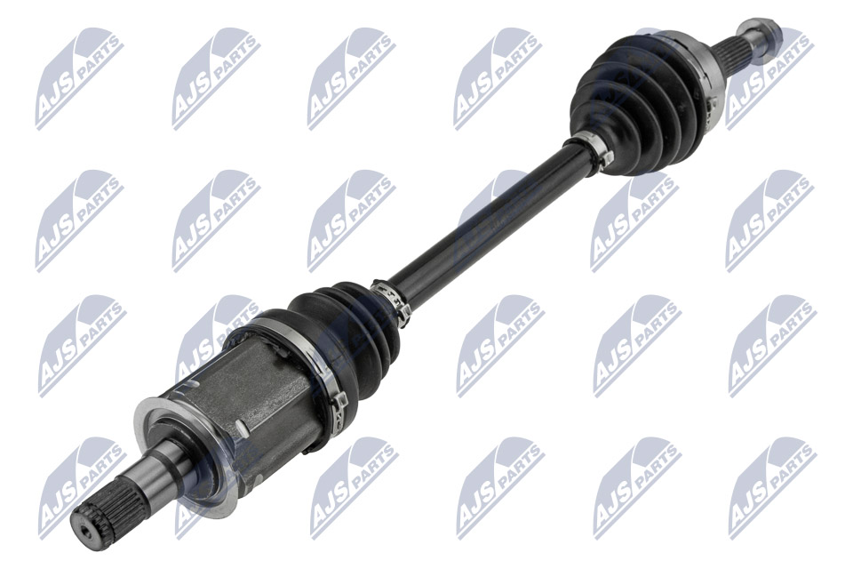 npw-bm-161_1-wm